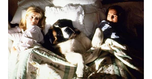 beethoven I Migliori Film sui Cani da vedere almeno una volta