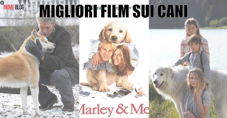 I Migliori Film sui Cani da vedere almeno una volta