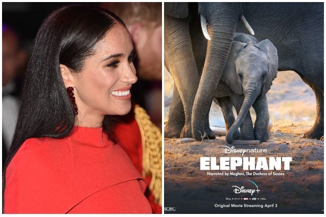 Meghan Markle su Disney+